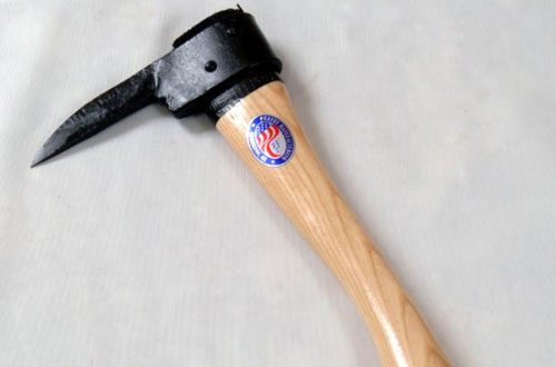 Penobscot Pickeroon(15