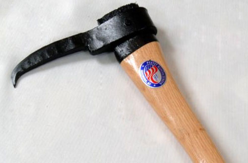 Holbrook Pickeroon(15